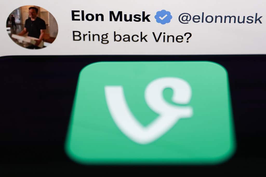 Doing It For The Vine doing-it-for-the-vine