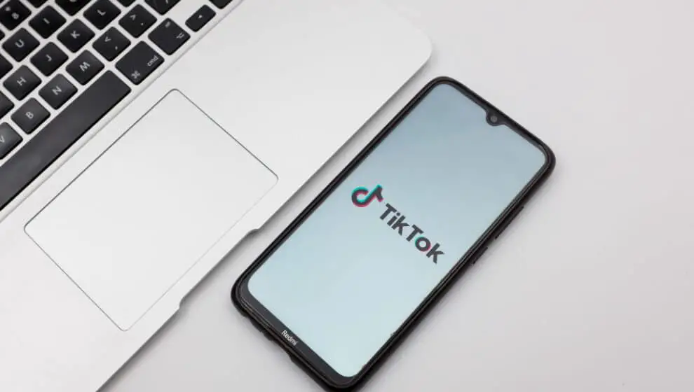 Popular short-video app TikTok is running a booming ad business