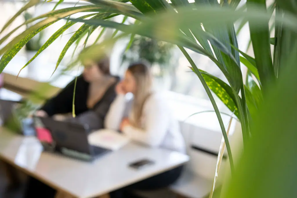 Motivating Women In the Workplace 